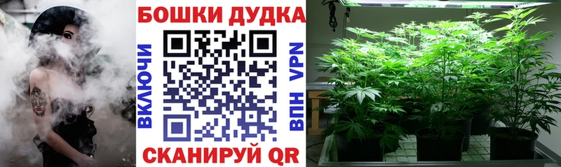 Где купить наркоту Шали Бошки Шишки Метамфетамин Меф КОКАИН