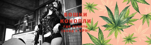 твердый Лагань