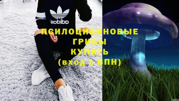 твердый Лагань