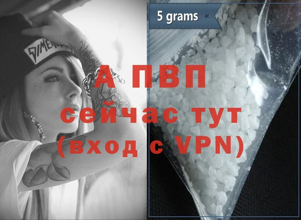твердый Лагань