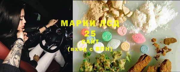 твердый Лагань