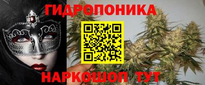дживик Новодвинск