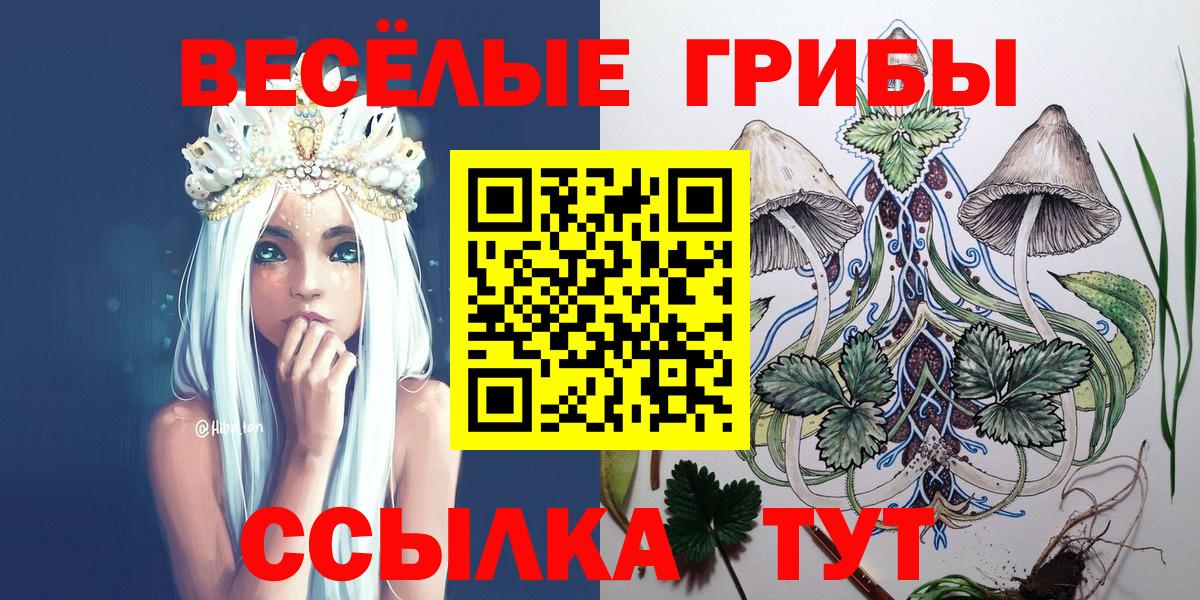 Галлюциногенные грибы ЛСД Шали
