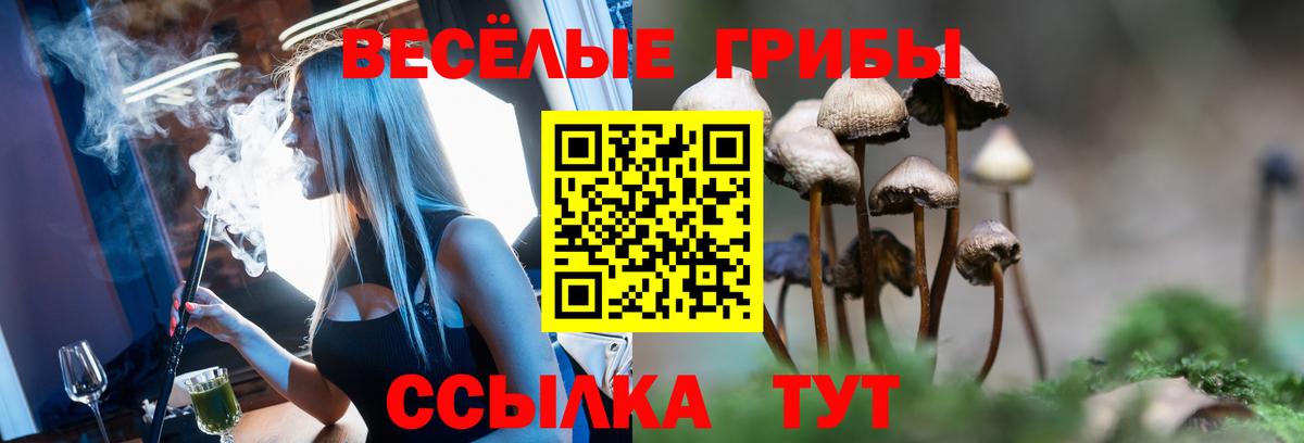 купить закладку  Вход с VPN  Шали  Галлюциногенные грибы Psilocybine cubensis  Псилоцибиновые грибы мицелий 