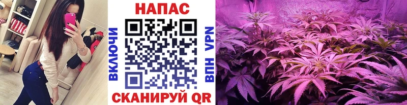 ОМГ ОМГ ссылки  как найти закладки  Шали  МАРИХУАНА индика 